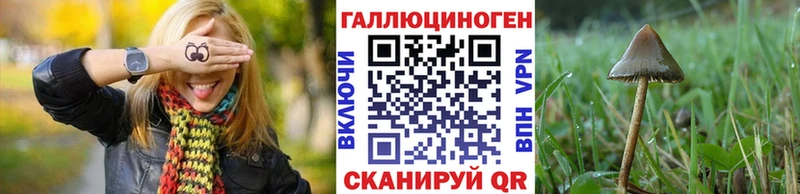 Купить закладки  Звенигово  Псилоцибиновые грибы GOLDEN TEACHER 